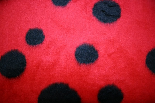 Animal Fur Ladybird